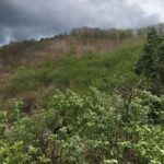 ImagImage of PANDANAN   LOMBOK BARAT WhatsApp Image 2025 07 18 at 07.47.45 150x150 Andremeda Pranadja Group Land for sale