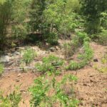 ImagImage of PANDANAN   LOMBOK BARAT WhatsApp Image 2025 07 18 at 07.47.45 2 150x150 Andremeda Pranadja Group Land for sale