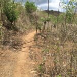 ImagImage of PANDANAN   LOMBOK BARAT WhatsApp Image 2025 07 18 at 07.47.45 3 150x150 Andremeda Pranadja Group Land for sale