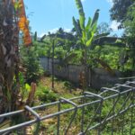 ImagImage of CENTRAL KUTA   LOMBOK WhatsApp Image 2025 09 02 at 14.20.43 2 150x150 Andremeda Pranadja Group Land for sale