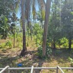 ImagImage of CENTRAL KUTA   LOMBOK WhatsApp Image 2025 09 02 at 14.20.44 150x150 Andremeda Pranadja Group Land for sale